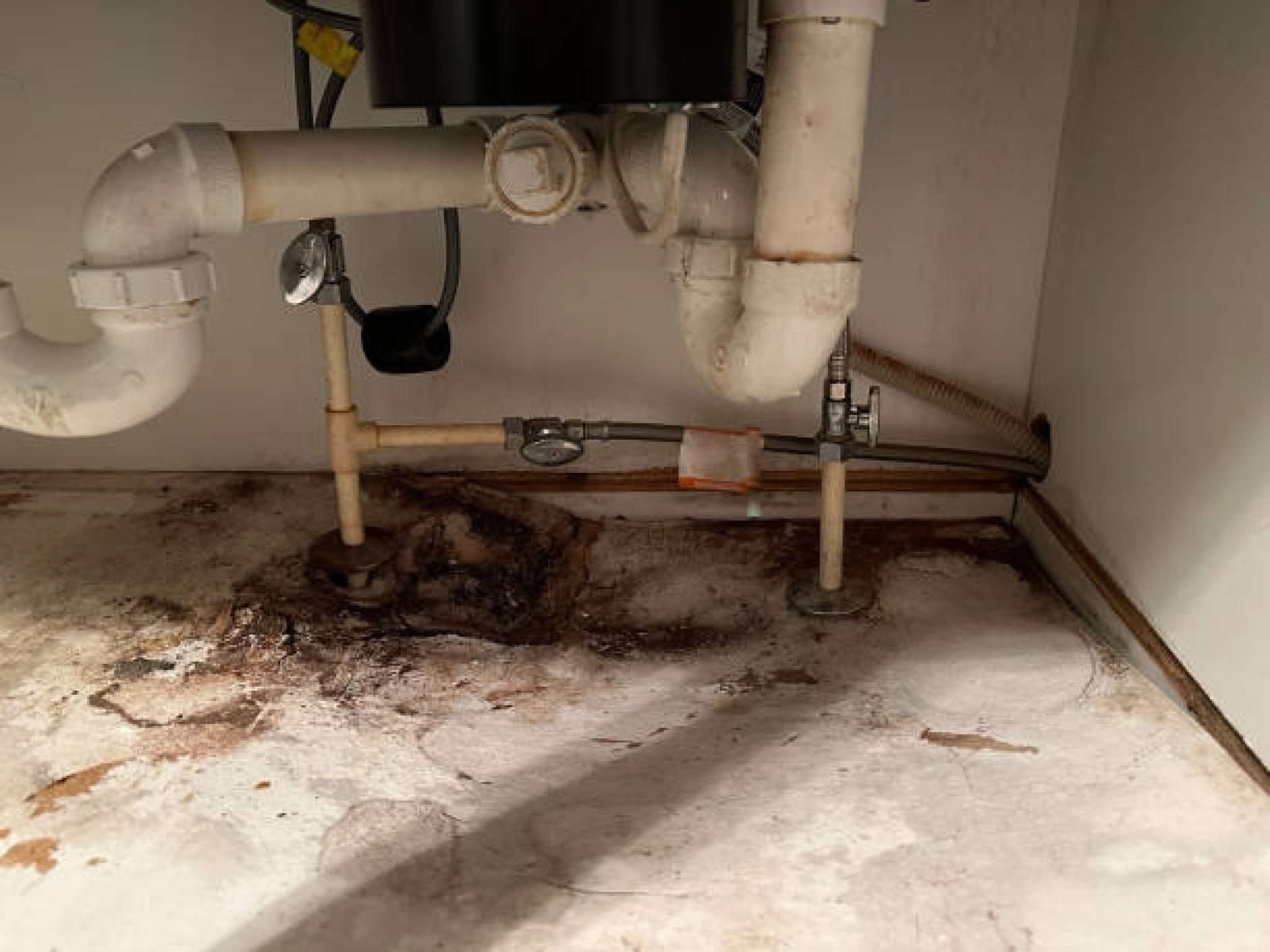 Water leak under a sink with pipes and mold visible.