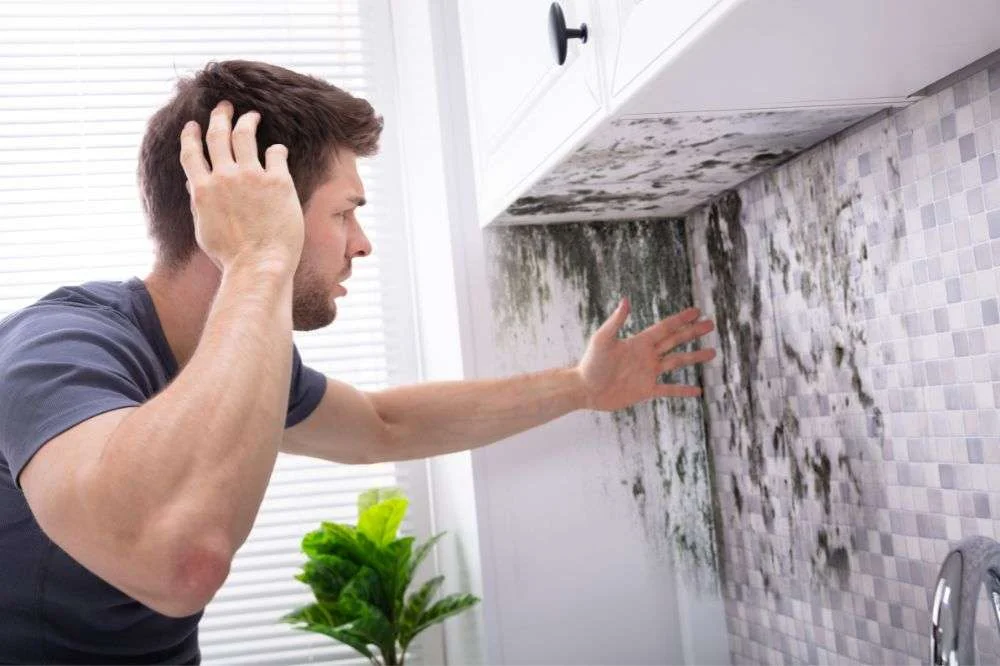 Mold Problem in Home